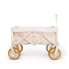 The Beach Cart - Monaco Natural Stripe